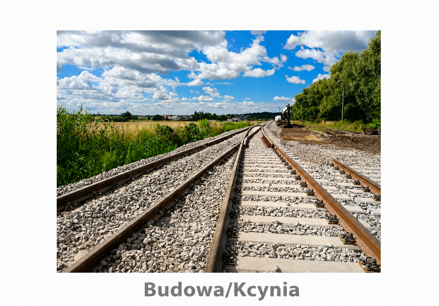 kcynia 36.3.png