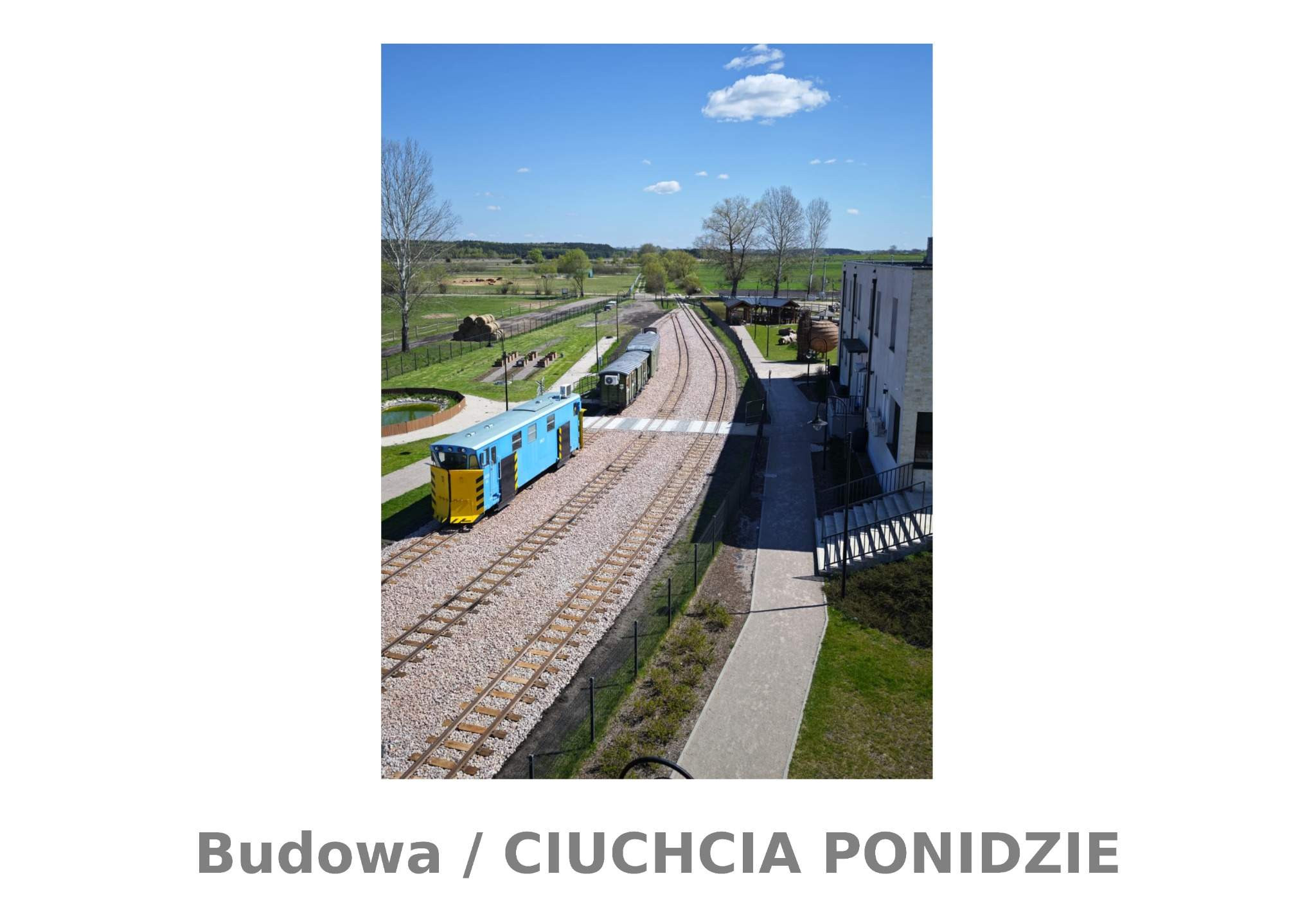 final_ciuchcia_5_odchudzone.jpg