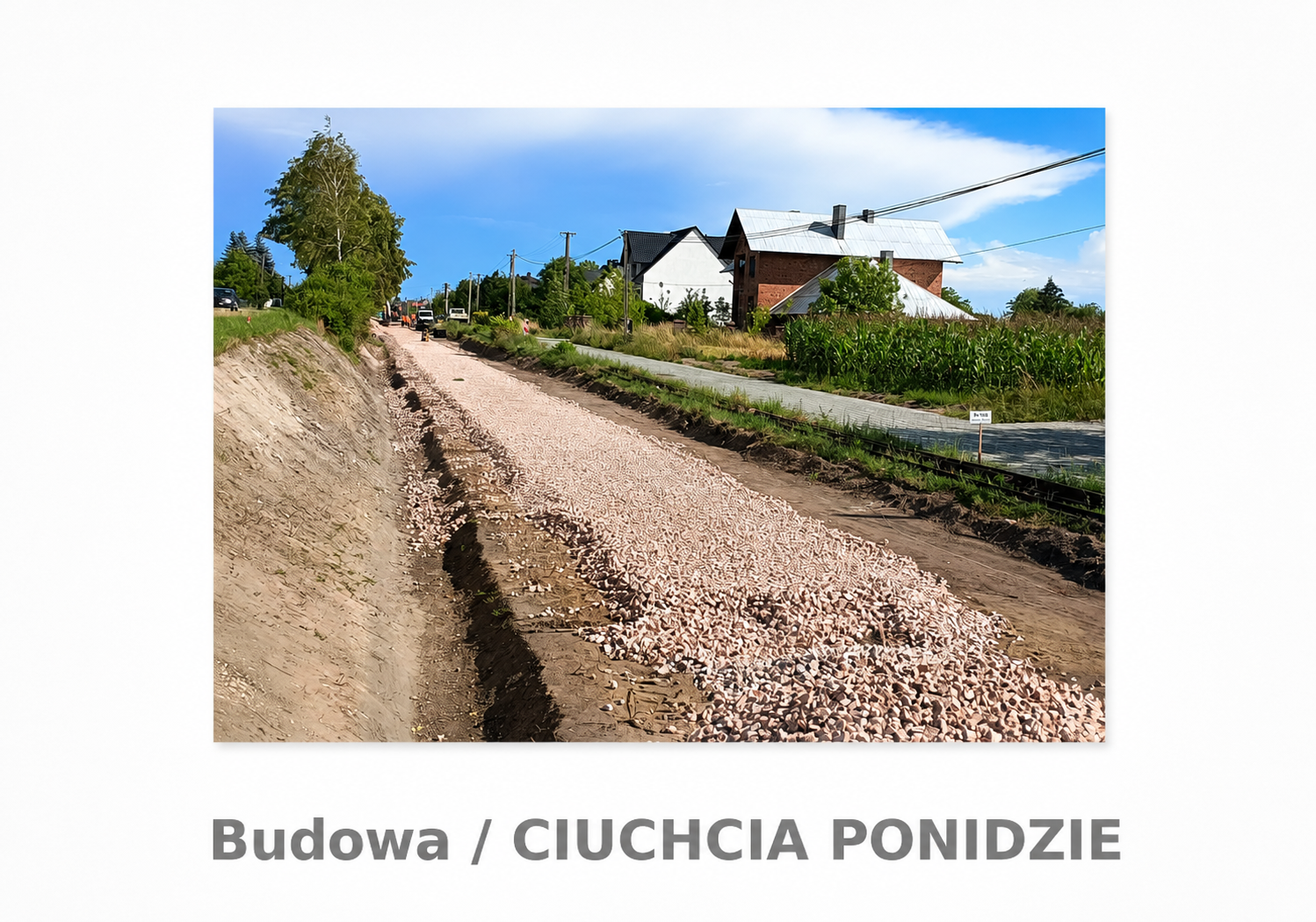 ciuchcia 11.3.png