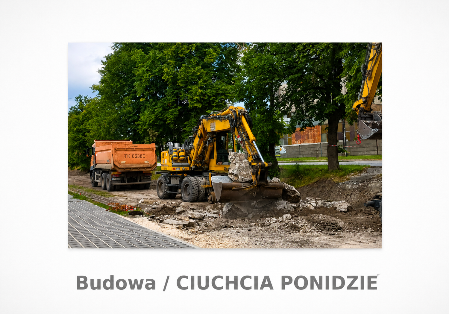 ciuchcia 8.3.png