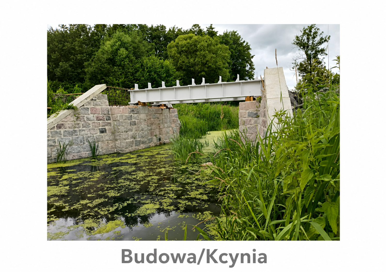 kcynia 31.2.1.png