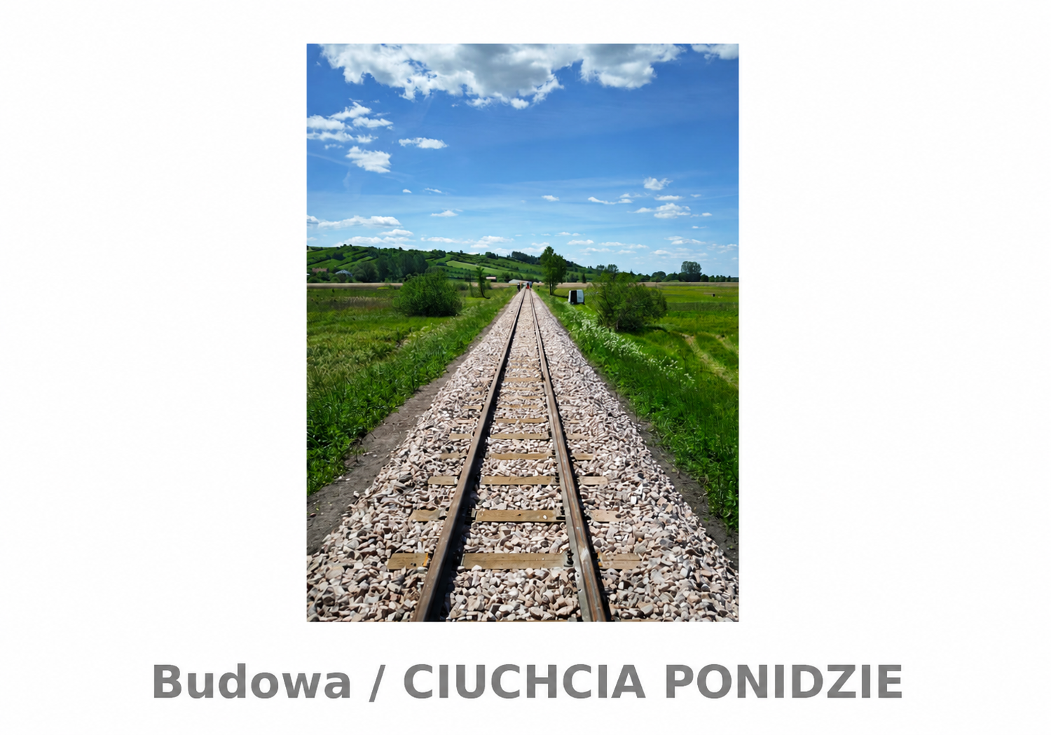 ciuchcia 27.3.png