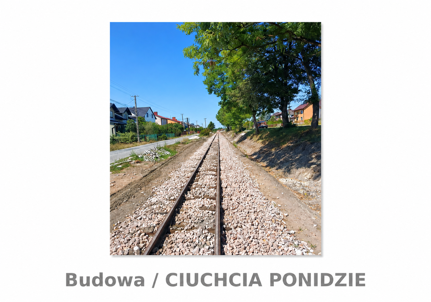 ciuchciaa 15.3.png