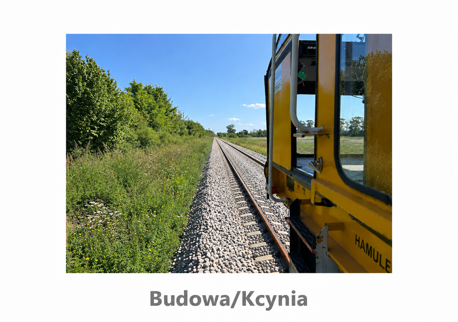 kcynia 46.3.png