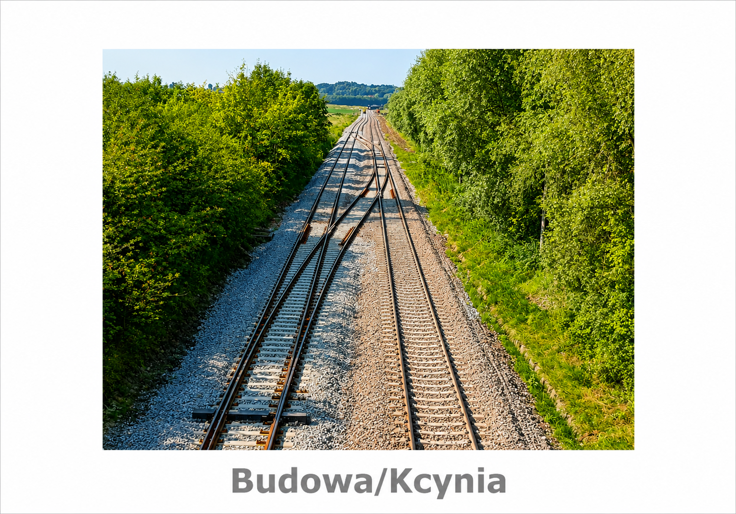 kcynia 39.3.png